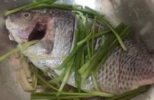 Cá phi sông tiền (cá đi câu)chiên xã, canh chua cá hú