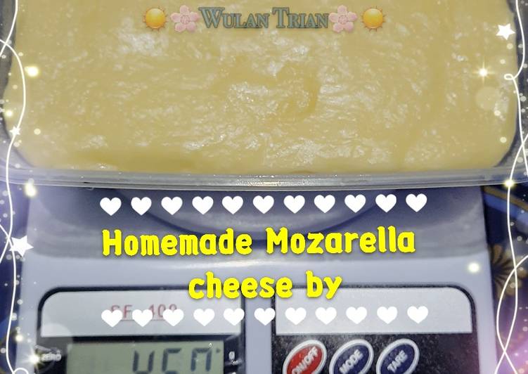 Mozarella Cheese KW