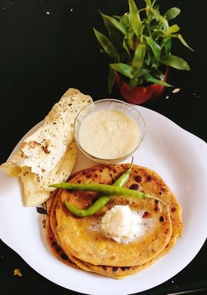 A picture of Cauliflower paratha (Gobhi paratha).