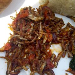 A picture of Omena Fry.