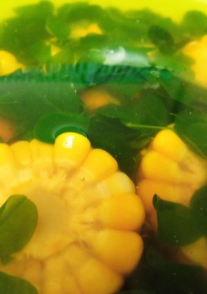 Foto resep Sayur kelor