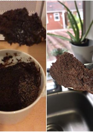 A picture of 1 minute Chocolate mug brownie.