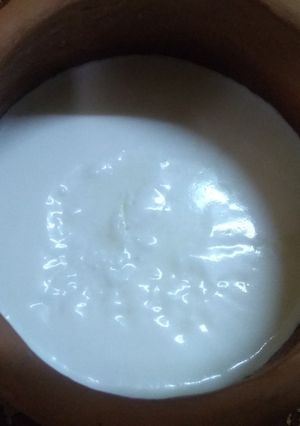 A picture of Homemade sour curd.