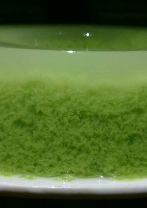 Foto resep Puding Lumut