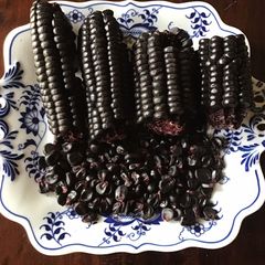 A picture of California Farm Grown Corn Nixtamalized Tortillas.