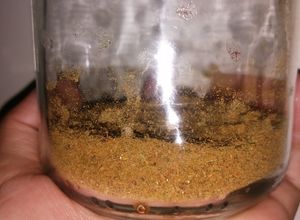 Foto principal de Especia garam masala