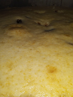 Una foto de Torta Rosina o torta común