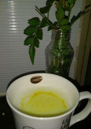A picture of Turmeric milk.