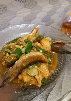 Foto resep Ikan Asin Gabus cabai Hijau