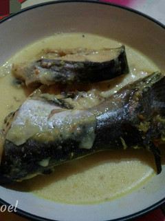 Foto resep Ikan Patin Bumbu Kuning