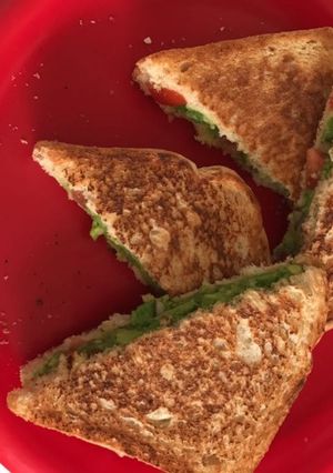 A picture of Avocado sandwich.