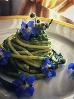 A picture of Square Spaghetti with Borage Sauce 🌷.