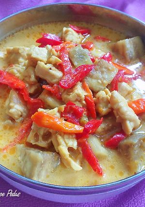 Foto resep Jangan Terong Tempe Pedas (sayur ndeso)