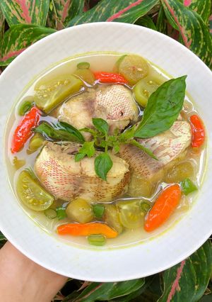 Foto resep 155. Sup Ikan Kakap Merah