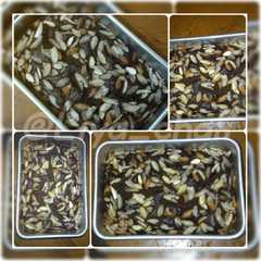 รูปของ Brownies kukus Almond ala Liya chali