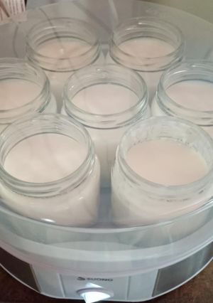 Una foto de Yogurt natural casero en yogurtera