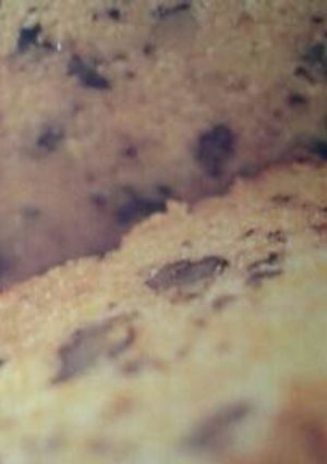 Una foto de Budín de zanahoria y nueces