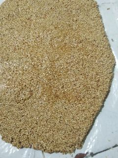 તલ ની ચીકી (Tal Chikki Recipe in Gujarati) રેસીપી મુખ્ય ફોટો