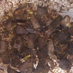 A picture of Pan Fried Liver.