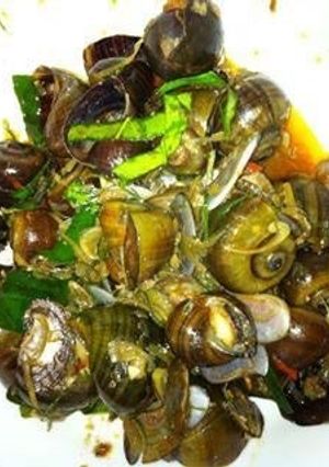 Hình của món Ốc mít xào sa tế chua ngọt.