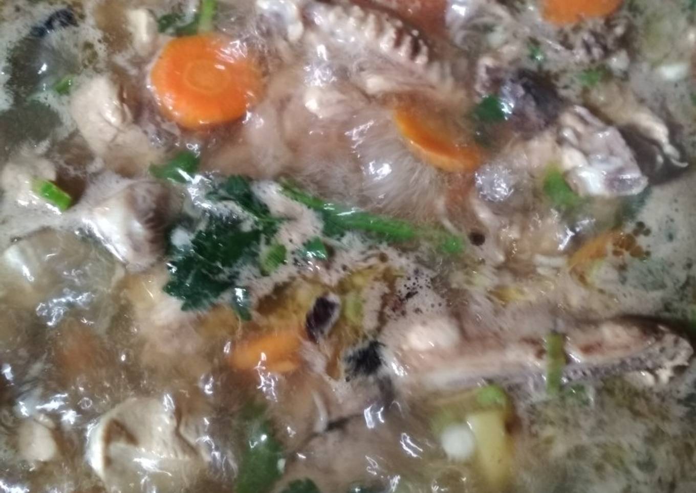 Sup Ayam Padang