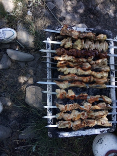 عکسی از دستور جوجه کباب