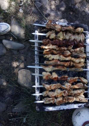 عکسی از دستور جوجه کباب