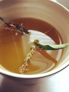 Una foto de Infusión de María Luisa y tomillo, con cúrcuma, jengibre, y miel de azahar