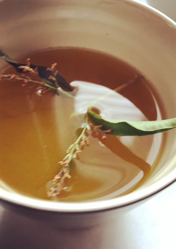 Una foto de Infusión de María Luisa y tomillo, con cúrcuma, jengibre, y miel de azahar
