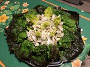 Une photo de rouget grondin