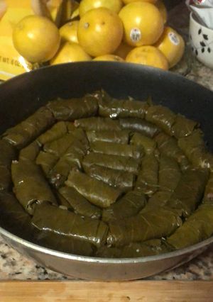 عکسی از دستور دلمه برگ