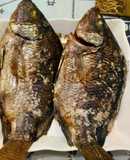 鹽烤吳郭魚