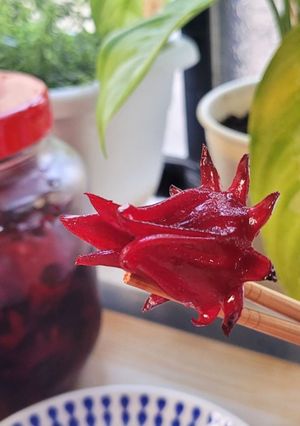 植物界紅寶石,在家DIY超簡單「洛神花蜜餞」 的食譜成品照片