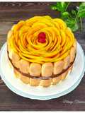 Mango Tiramisu