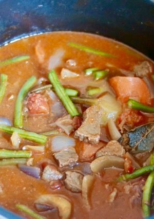 A picture of Thai beef stew.