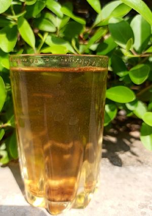 કોરોનીલ ઉકાળો (Ukalo Recipe In Gujarati) રેસીપી મુખ્ય ફોટો