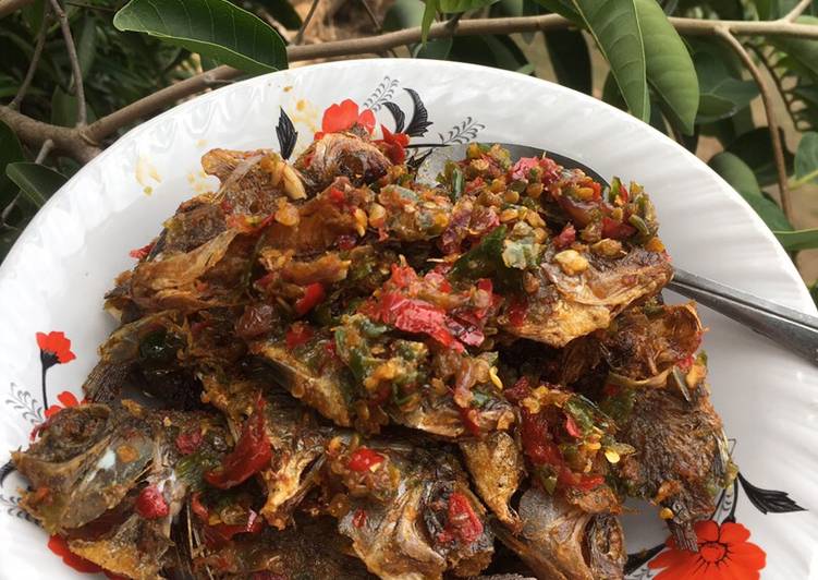 Resep Ikan Garing Sambal Kering yang Sempurna