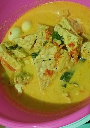 Foto resep Tempe telur puyuh santan Kara instanA
