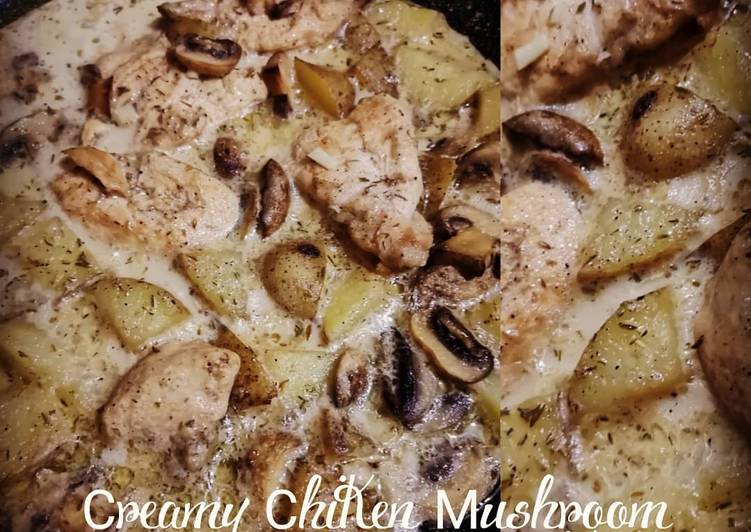 Cara Gampang Menyiapkan Creamy Chiken Mushroom, Menggugah Selera