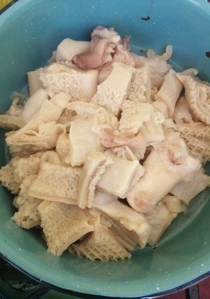A picture of My Style Menudo (Pancita).