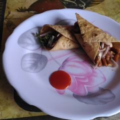 A picture of Mexican wrap.