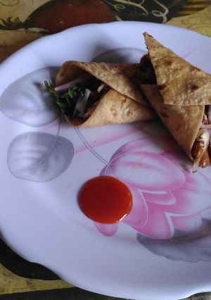 A picture of Mexican wrap.