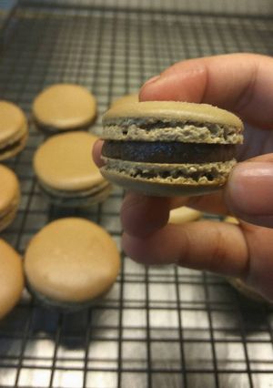Foto resep Mocha Macaroons with Chocolate ganache fillings