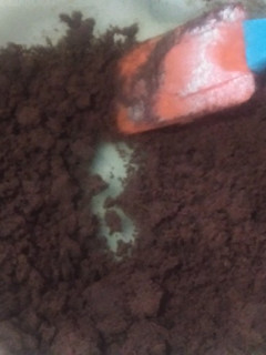 Una foto de Tierra de cacao