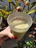 Smoothie refrescante con Maca :)
