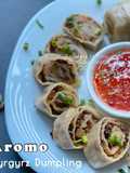 Aromo (Krygyzstan Dumpling 🇰🇬)