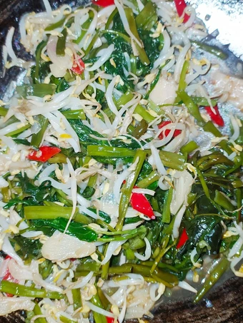 Langkah Mudah untuk Membuat Resep Tumis Kangkung Toge Saus tiram yang Bikin Ngiler Anti Ribet, Menggugah Selera