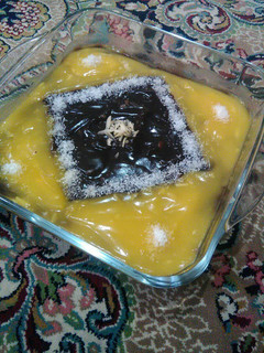 عکسی از دستور دسر شیری😊😋😋
