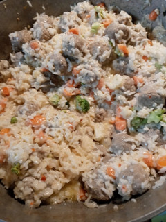 A picture of Rice and Meatballs Batch 2.
