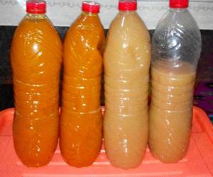 Masakan Populer Jamu Kunyit Jeruk Nipis n Jamu Beras Kencur... SEGERRRRR BGTTTTT Ala Warteg Masakan Populer Jamu Kunyit Jeruk Nipis n Jamu Beras Kencur... SEGERRRRR BGTTTTT Ala Warteg